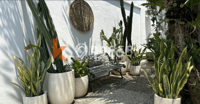 Rumah Kontrakan Badung LT 100m2 LB 80m2 Area Seminyak Rumah Kontrakan Badung LT 100m2 LB 80m2 Area Seminyak