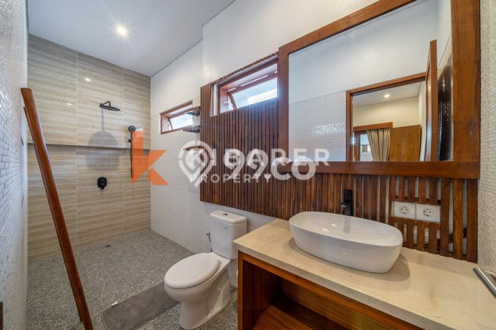 Disewakan Rumah Harga Terjangkau di Canggu Badung Punya 3 KT Disewakan Rumah Harga Terjangkau di Canggu Badung Punya 3 KT