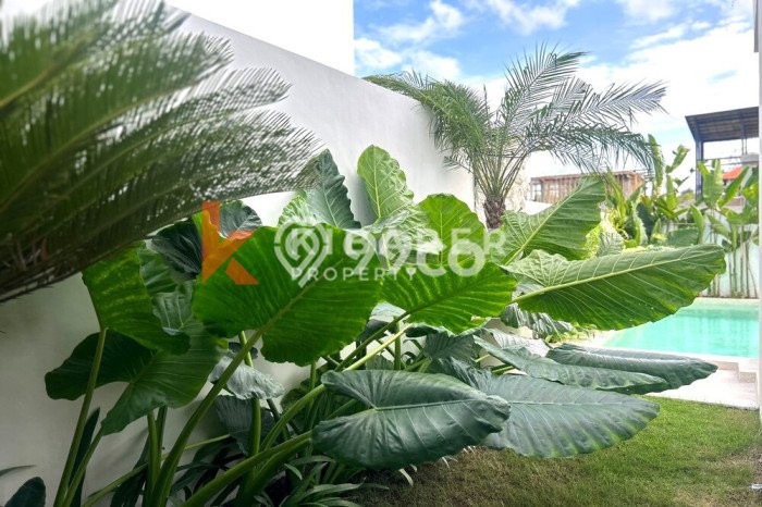 Rumah Disewakan Badung LT 100m2 LB 133m2 Area Pererenan Rumah Disewakan Badung LT 100m2 LB 133m2 Area Pererenan