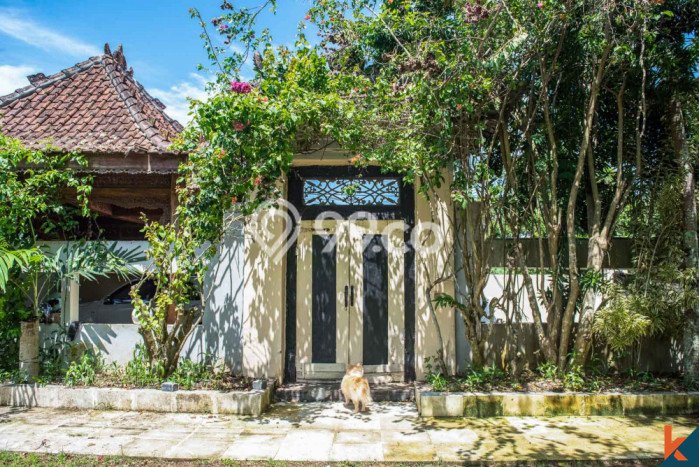 Rumah 6 Kamar Tidur Desain Minimalis di Jimbaran, Dekat Fasilitas Umum, Badung Rumah 6 Kamar Tidur Desain Minimalis di Jimbaran, Dekat Fasilitas Umum, Badung