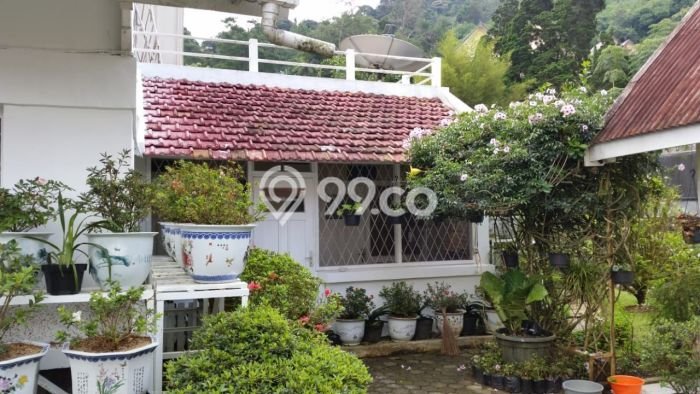 Rumah Luxury Modern Tanpa Renovasi di Puncak Bogor Rumah Luxury Modern Tanpa Renovasi di Puncak Bogor