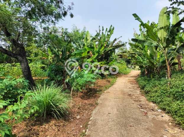 Tanah Komersial Dijual di Baleendah Bandung 1040m2 Tanah Komersial Dijual di Baleendah Bandung 1040m2