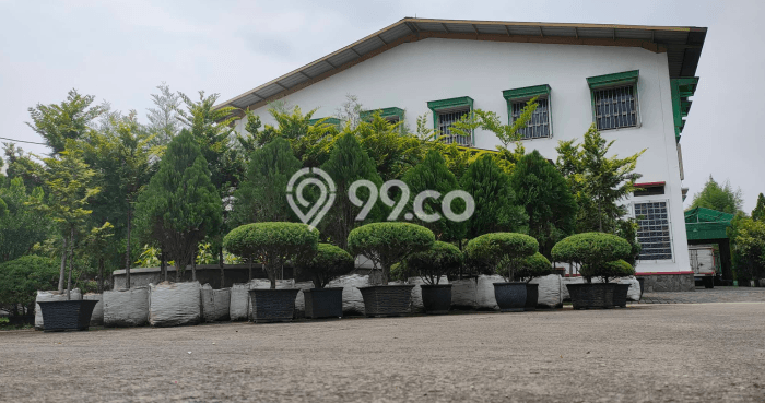 Area Strategis! Disewakan Gudang Lokasi Cileunyi, Bandung Cocok untuk Bisnis Area Strategis! Disewakan Gudang Lokasi Cileunyi, Bandung Cocok untuk Bisnis
