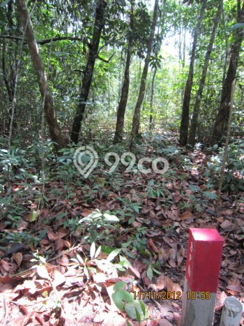 Dijual Tanah Lokasi Tanjung Pandan, Belitung Seluas 10969m2 Dijual Tanah Lokasi Tanjung Pandan, Belitung Seluas 10969m2