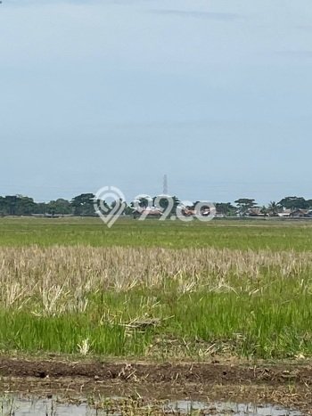 Tanah Dijual Lokasi Pamanukan, Subang dengan Luas Tanah 24500m2 dan Status SHM Tanah Dijual Lokasi Pamanukan, Subang dengan Luas Tanah 24500m2 dan Status SHM