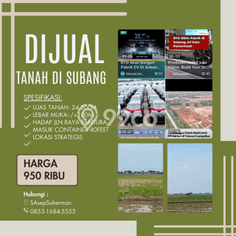 Lahan Investasi Lokasi Pamanukan Subang SHM Lahan Investasi Lokasi Pamanukan Subang SHM