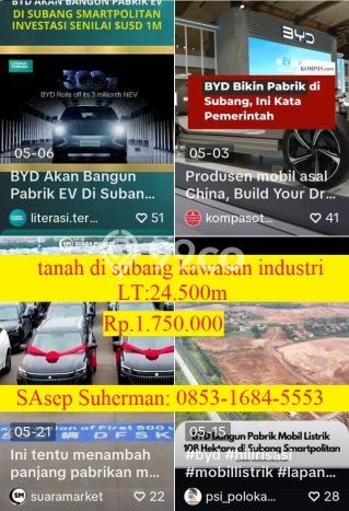 Lahan Investasi Lokasi Pamanukan Subang SHM Lahan Investasi Lokasi Pamanukan Subang SHM