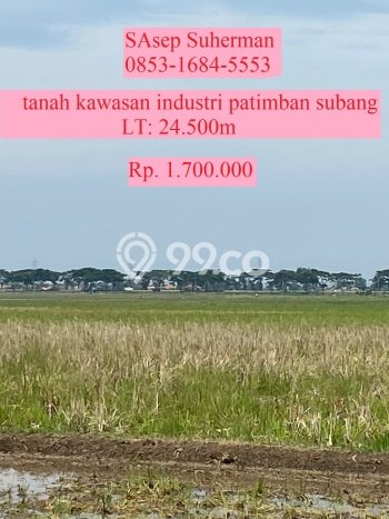 Tanah Dijual Lokasi Pamanukan, Subang dengan Luas Tanah 24500m2 dan Status SHM Tanah Dijual Lokasi Pamanukan, Subang dengan Luas Tanah 24500m2 dan Status SHM