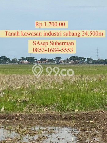 Lahan Investasi Lokasi Pamanukan Subang SHM Lahan Investasi Lokasi Pamanukan Subang SHM