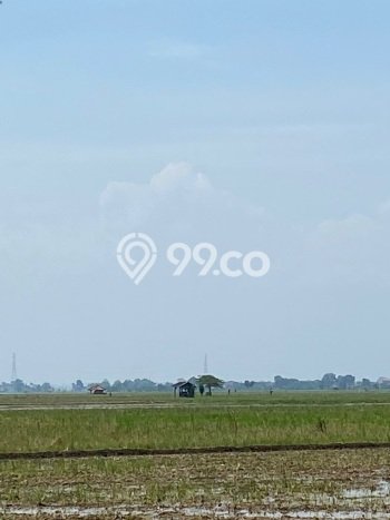 Tanah Dijual Lokasi Pamanukan, Subang dengan Luas Tanah 24500m2 dan Status SHM Tanah Dijual Lokasi Pamanukan, Subang dengan Luas Tanah 24500m2 dan Status SHM