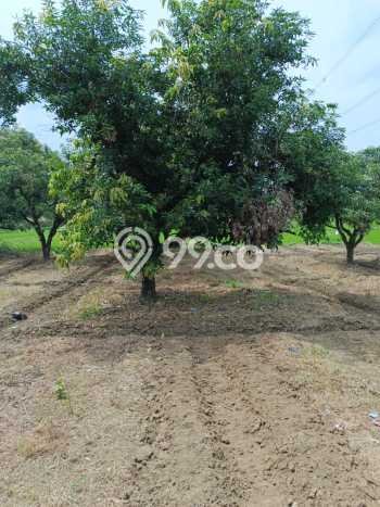 Lahan Investasi Lokasi Tomo Sumedang - Lahan Investasi Lokasi Tomo Sumedang -