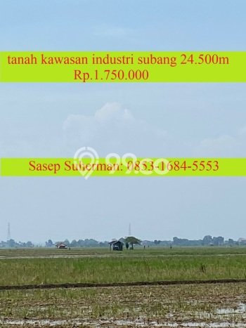 Lahan Investasi Lokasi Pamanukan Subang SHM Lahan Investasi Lokasi Pamanukan Subang SHM