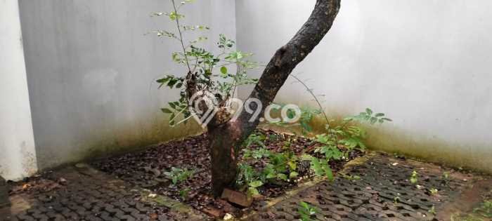 Rumah Modern Cantik 2 Kamar Siap Huni di BSD Rumah Modern Cantik 2 Kamar Siap Huni di BSD
