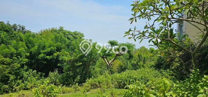 Lahan Dijual Lokasi Strategis di Badung dengan Luas 800m2 Lahan Dijual Lokasi Strategis di Badung dengan Luas 800m2