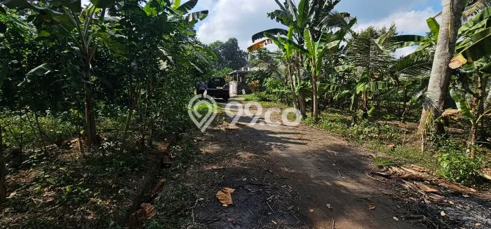Dijual Tanah Lokasi Bongan, Tabanan Seluas 140m2 Dijual Tanah Lokasi Bongan, Tabanan Seluas 140m2