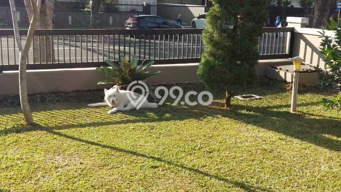 Jual Rumah Mewah Elegan Dengan View Eksklusif di Kota Baru Parahyangan, Bandung Jual Rumah Mewah Elegan Dengan View Eksklusif di Kota Baru Parahyangan, Bandung