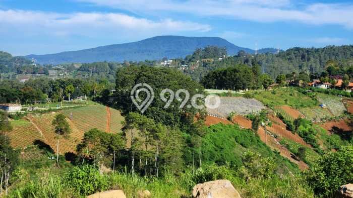 Tanah Kavling Dijual di Bandung dengan Spesifikasi 200m2 Tanah Kavling Dijual di Bandung dengan Spesifikasi 200m2