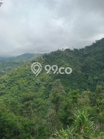 Tanah Area Berkembang Kawasan Pangalengan, Luas 77349m2m², Ideal untuk Usaha Tanah Area Berkembang Kawasan Pangalengan, Luas 77349m2m², Ideal untuk Usaha