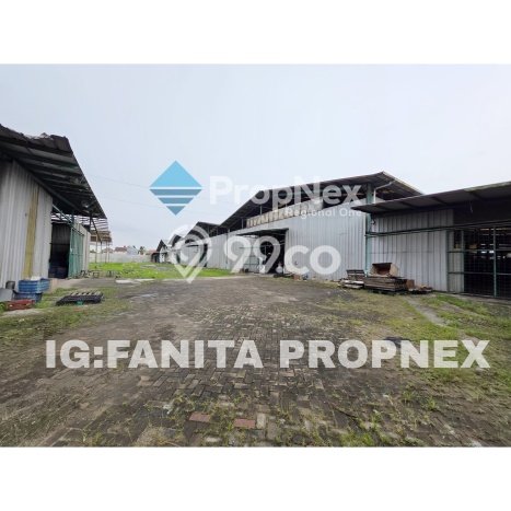 Lokasi Strategis! Dijual Pabrik Bisnis di Mauk, Tangerang Kondisi Bagus Lokasi Strategis! Dijual Pabrik Bisnis di Mauk, Tangerang Kondisi Bagus
