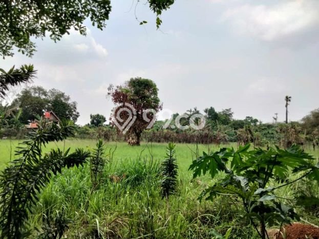 Tanah Dijual di Tangerang Seluas 14000m2 Strategis Tanah Dijual di Tangerang Seluas 14000m2 Strategis