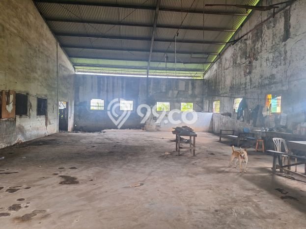 Paling Dicari! Gudang Dijual di Kapuk Muara Harga Kompetitif Paling Dicari! Gudang Dijual di Kapuk Muara Harga Kompetitif