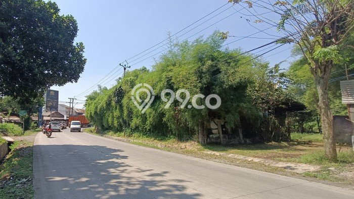 Dijual Tanah di Gunung Sindur Bogor Luas 2420m2 SHM Dijual Tanah di Gunung Sindur Bogor Luas 2420m2 SHM