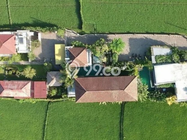 Vila Ready Kawasan Ubud, Area 0m2m², For Rent Vila Ready Kawasan Ubud, Area 0m2m², For Rent
