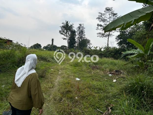 Tanah Dijual Lokasi Cihideung Tasikmalaya SHM Tanah Dijual Lokasi Cihideung Tasikmalaya SHM
