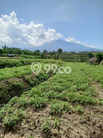 Tanah Kavling Dijual di Malang dengan Spesifikasi 1677m2 Tanah Kavling Dijual di Malang dengan Spesifikasi 1677m2