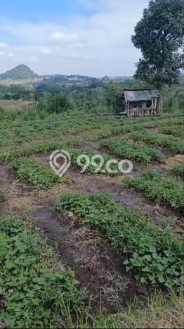 Tanah Kavling Dijual di Malang dengan Spesifikasi 1677m2 Tanah Kavling Dijual di Malang dengan Spesifikasi 1677m2