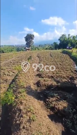 Tanah Kavling Dijual di Malang dengan Spesifikasi 1677m2 Tanah Kavling Dijual di Malang dengan Spesifikasi 1677m2