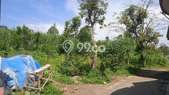 Tanah Investasi Dijual di Malang Punya Luas 98m2 Tanah Investasi Dijual di Malang Punya Luas 98m2