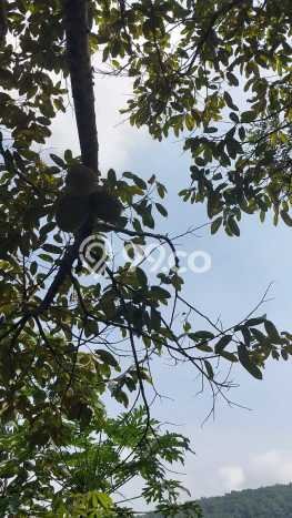 Tanah Siap Bangun Dijual di Bandung Punya Luas 4416m2 Tanah Siap Bangun Dijual di Bandung Punya Luas 4416m2