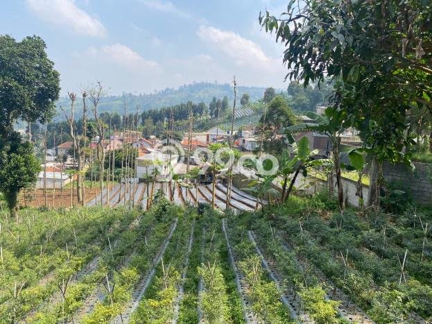 Lahan Dijual Lokasi Strategis di Bandung dengan Luas 1500m2 Lahan Dijual Lokasi Strategis di Bandung dengan Luas 1500m2