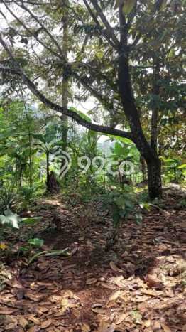 Tanah Siap Bangun Dijual di Bandung Punya Luas 4416m2 Tanah Siap Bangun Dijual di Bandung Punya Luas 4416m2