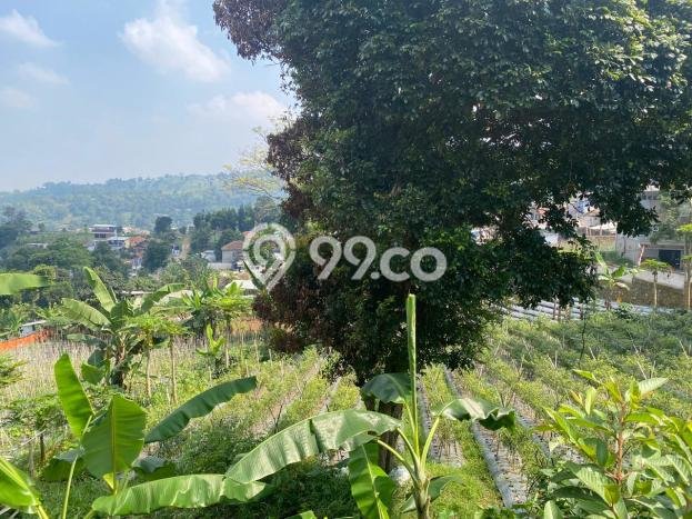 Lahan Dijual Lokasi Strategis di Bandung dengan Luas 1500m2 Lahan Dijual Lokasi Strategis di Bandung dengan Luas 1500m2