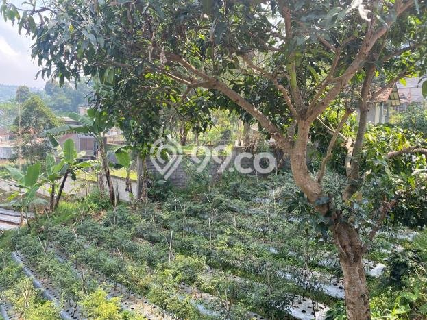 Lahan Dijual Lokasi Strategis di Bandung dengan Luas 1500m2 Lahan Dijual Lokasi Strategis di Bandung dengan Luas 1500m2