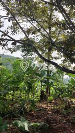 Tanah Siap Bangun Dijual di Bandung Punya Luas 4416m2 Tanah Siap Bangun Dijual di Bandung Punya Luas 4416m2