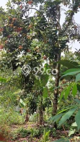 Tanah Siap Bangun Dijual di Bandung Punya Luas 4416m2 Tanah Siap Bangun Dijual di Bandung Punya Luas 4416m2