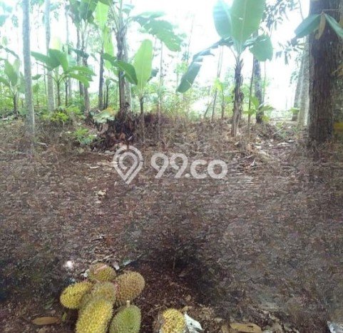 Tanah Siap Bangun Dijual di Bandung Punya Luas 4416m2 Tanah Siap Bangun Dijual di Bandung Punya Luas 4416m2
