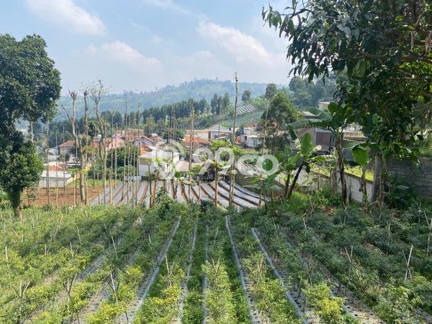 Lahan Dijual Lokasi Strategis di Bandung dengan Luas 1500m2 Lahan Dijual Lokasi Strategis di Bandung dengan Luas 1500m2