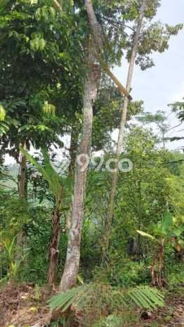 Tanah Siap Bangun Dijual di Bandung Punya Luas 4416m2 Tanah Siap Bangun Dijual di Bandung Punya Luas 4416m2