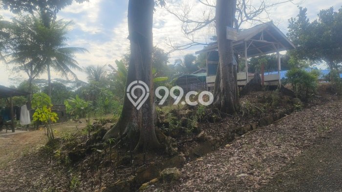 Tanah Kawasan Kariangau, Luas 2500m2m², Area Potensial, Lingkungan Asri Tanah Kawasan Kariangau, Luas 2500m2m², Area Potensial, Lingkungan Asri