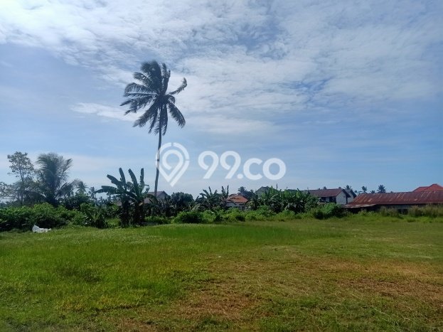 Tanah Disewa di Lamaru Strategis dan Memiliki Luas 16000m2 Tanah Disewa di Lamaru Strategis dan Memiliki Luas 16000m2