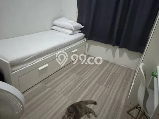 Dijual Rumah 2 Kamar Lokasi Strategis Bagus dan Strategis di Dayeuhkolot Dijual Rumah 2 Kamar Lokasi Strategis Bagus dan Strategis di Dayeuhkolot