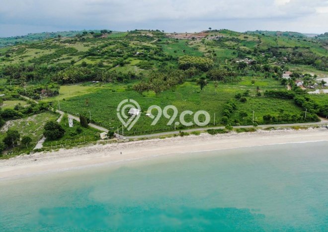 Tanah Dijual Lokasi Pujut, Lombok Tengah Luas 60773m2 Legalitas Aman Tanah Dijual Lokasi Pujut, Lombok Tengah Luas 60773m2 Legalitas Aman