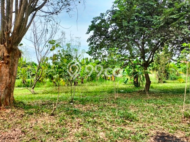 Untuk Dijual Gudang di Purwasari Karawang LT 136248m2 / LB 36415m2 Untuk Dijual Gudang di Purwasari Karawang LT 136248m2 / LB 36415m2