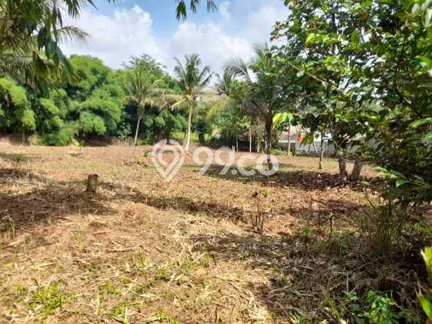 Tanah Kavling untuk Dijual di Tajur Halang Bogor 5070m2 Tanah Kavling untuk Dijual di Tajur Halang Bogor 5070m2