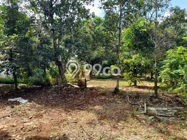 Tanah Kavling untuk Dijual di Tajur Halang Bogor 5070m2 Tanah Kavling untuk Dijual di Tajur Halang Bogor 5070m2