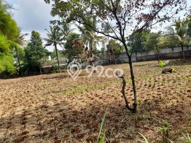 Tanah Kavling untuk Dijual di Tajur Halang Bogor 5070m2 Tanah Kavling untuk Dijual di Tajur Halang Bogor 5070m2